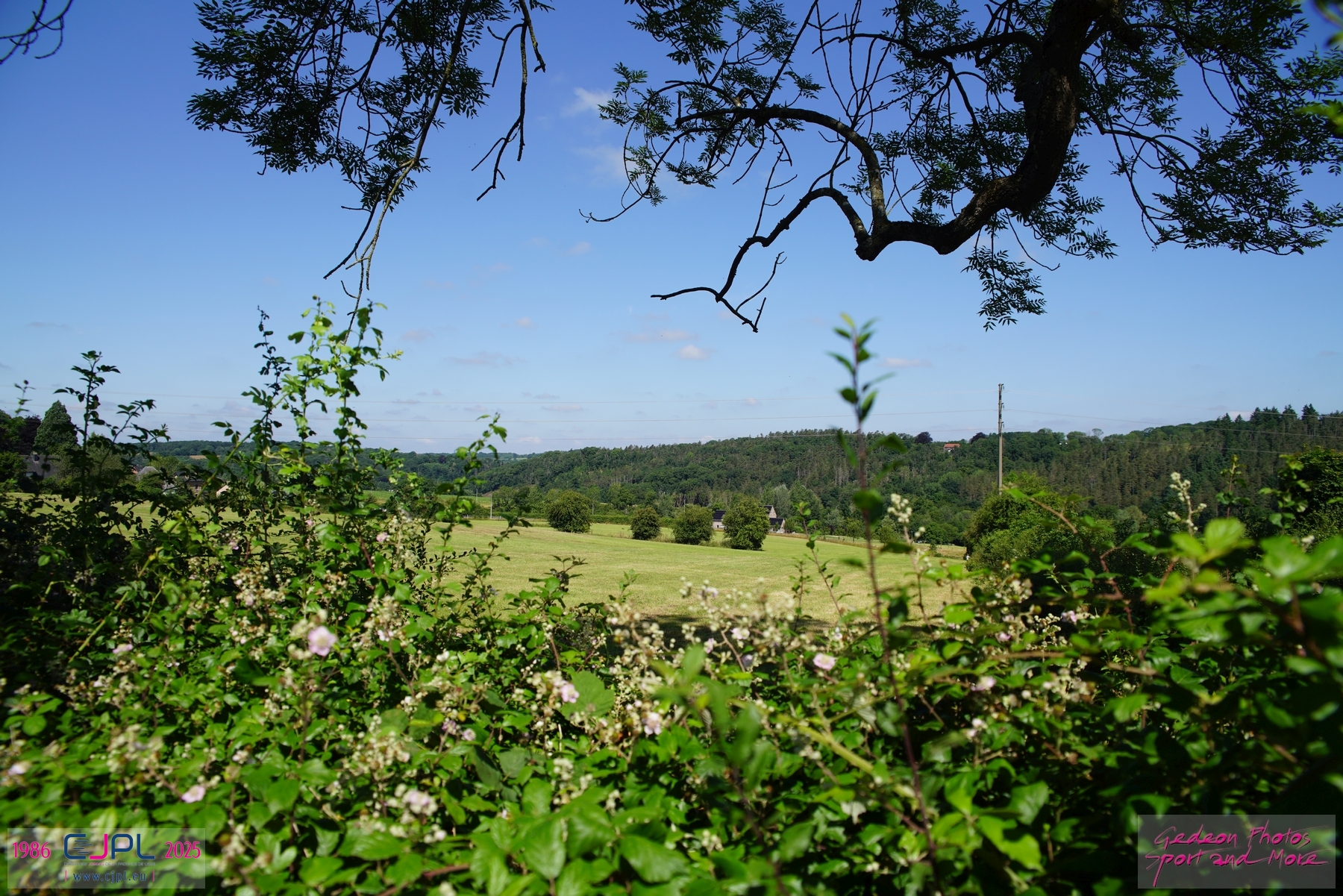Le Jogging des P'tis Loups
