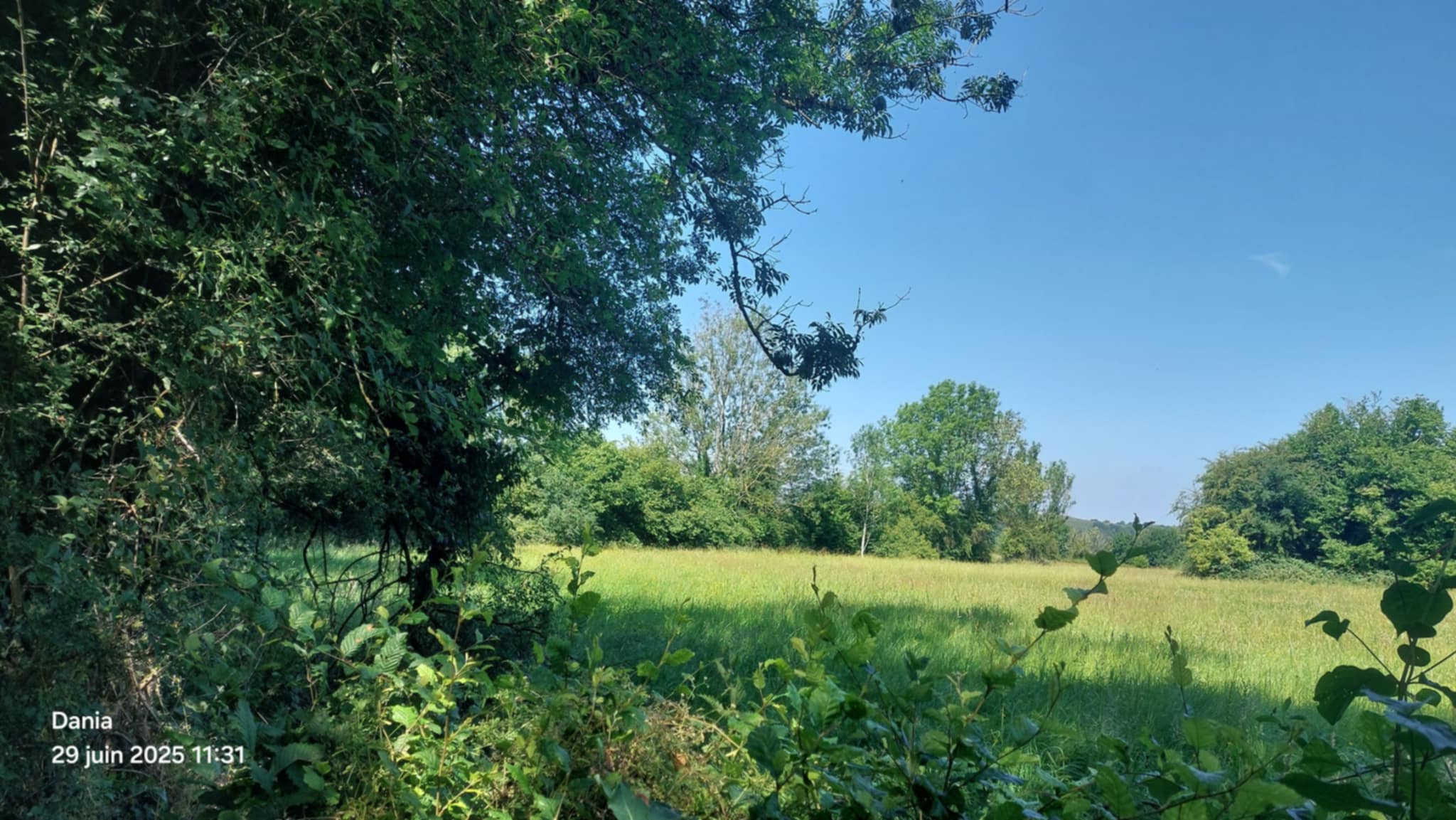 Le Jogging des P'tis Loups