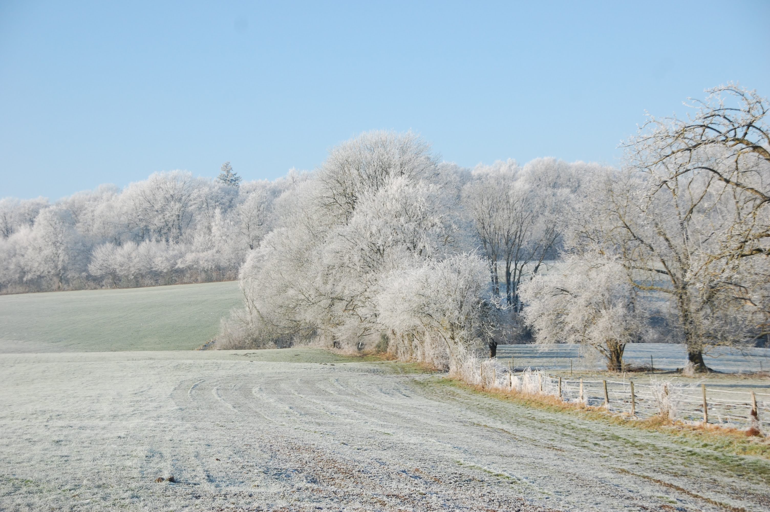 Le Jogging d'Hiver